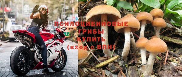 первитин Надым